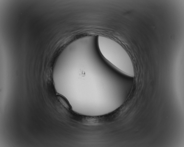 X0000086910325200704161015