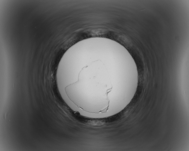 X0000086910327200704161015