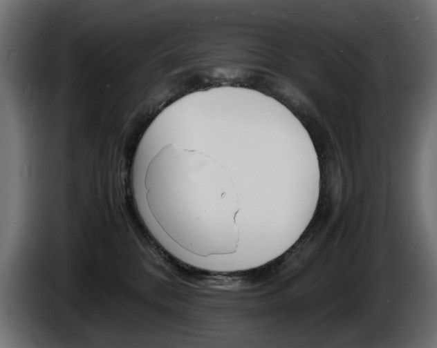 X0000086910328200704161015