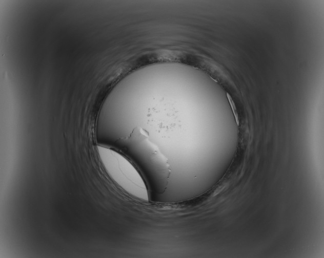 X0000086910329200704161015