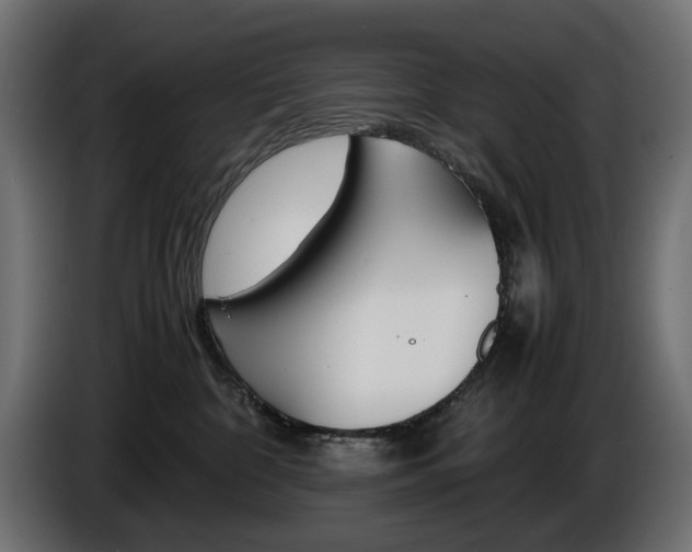 X0000086910332200704161015