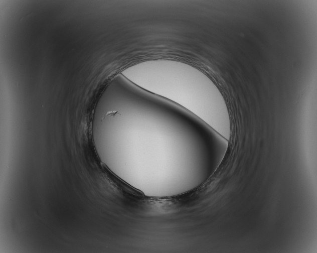 X0000086910333200704161015