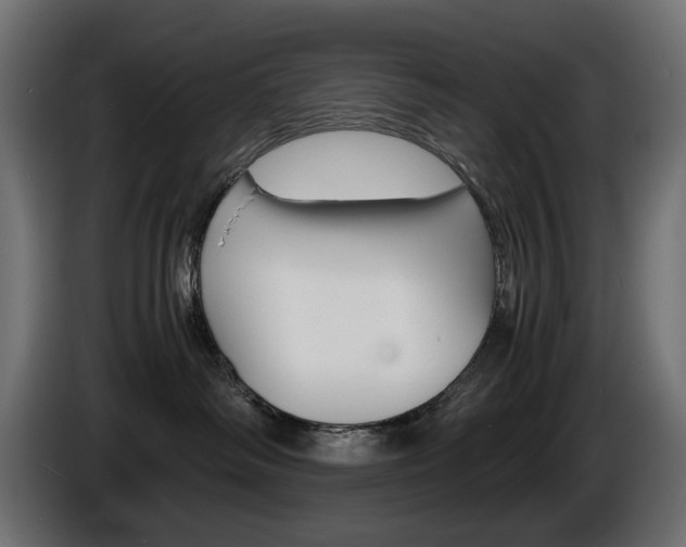 X0000086910334200704161015