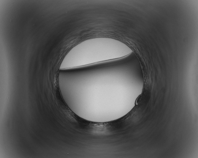 X0000086910335200704161015