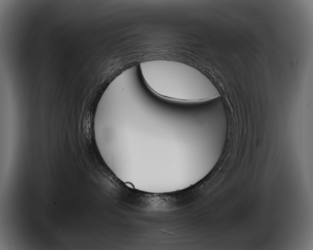 X0000086910336200704161015