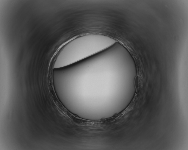 X0000086910338200704161014