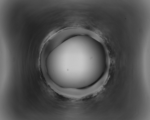 X0000086910340200704161014