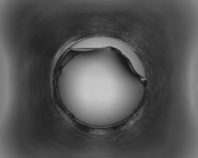X0000086910341200704161014