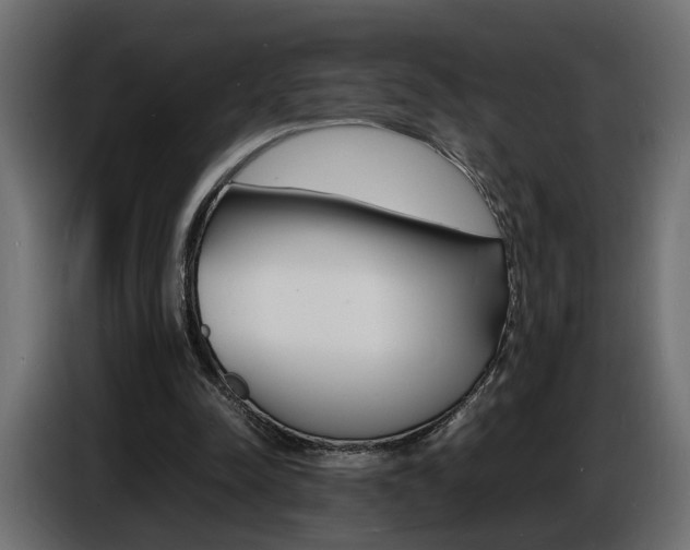 X0000086910342200704161014