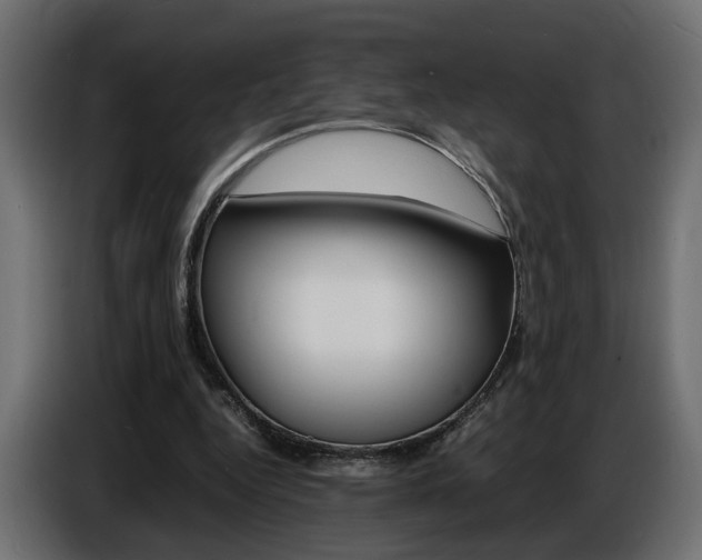 X0000086910344200704161014