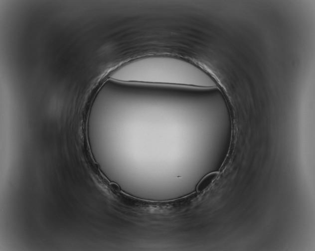 X0000086910345200704161014