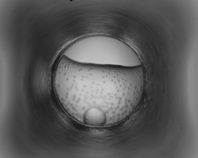 X0000086910346200704161014