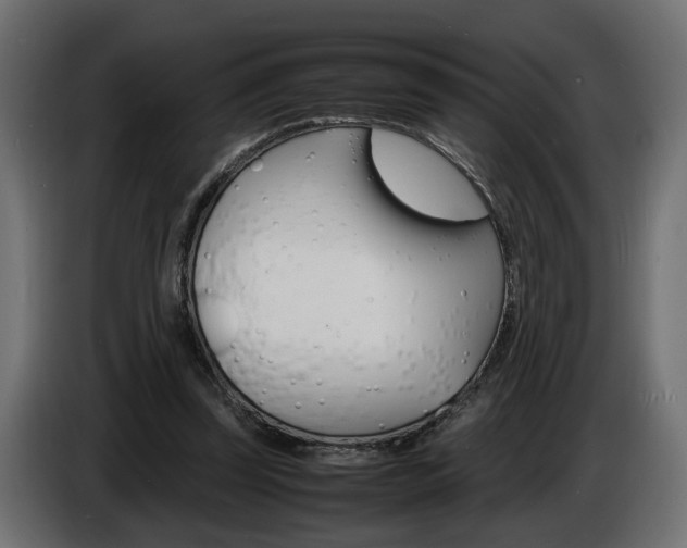 X0000086910347200704161014