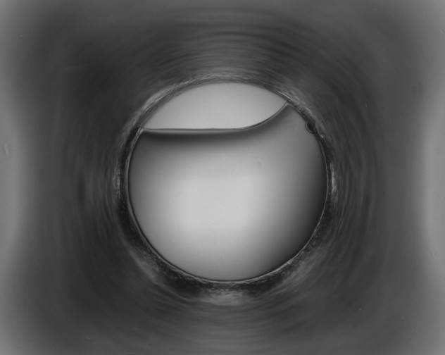 X0000086910348200704161014