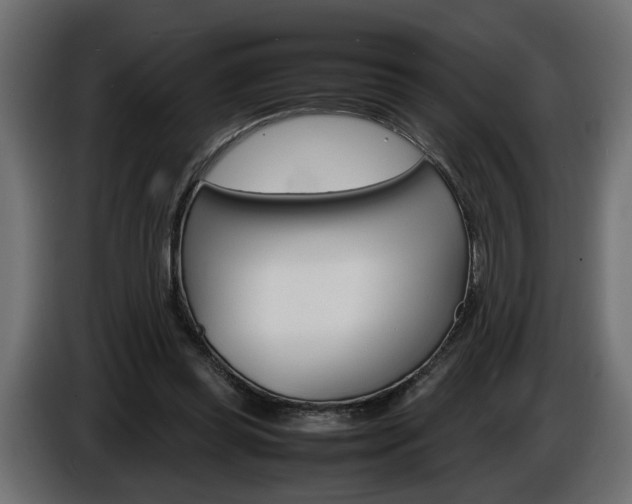 X0000086910349200704161014