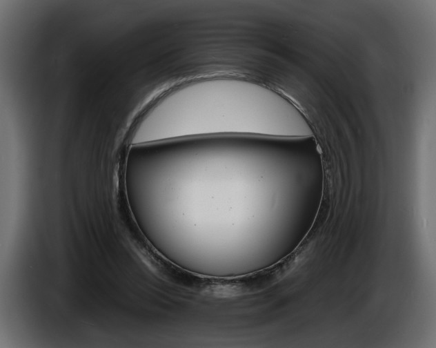 X0000086910350200704161014