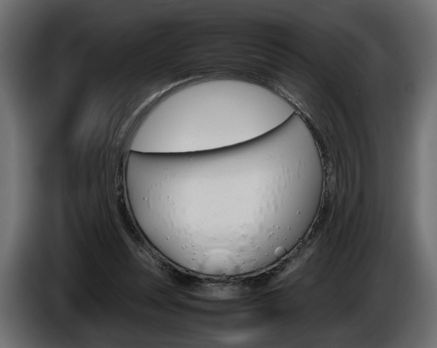 X0000086910351200704161014