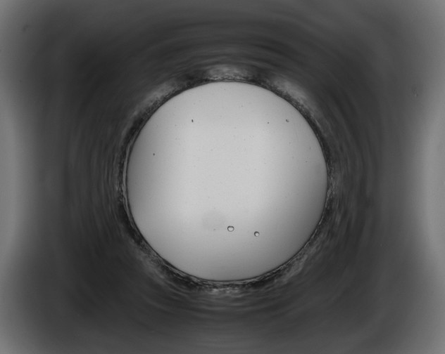 X0000086910353200704161014