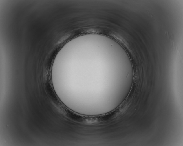 X0000086910355200704161014