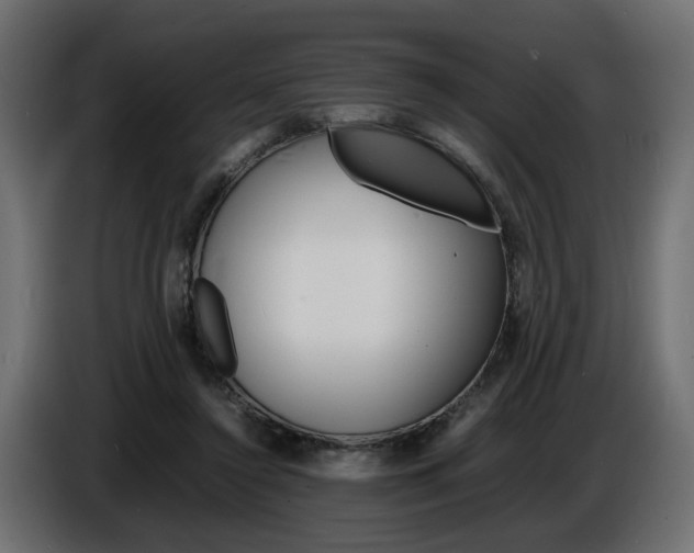 X0000086910356200704161014