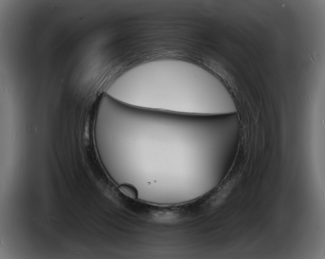 X0000086910358200704161014