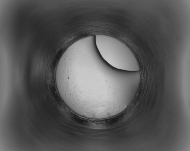 X0000086910359200704161014
