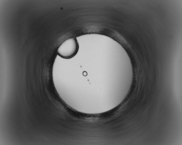 X0000086910362200704161014