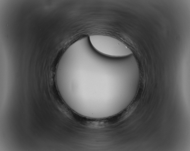 X0000086910366200704161014