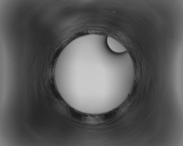 X0000086910367200704161014