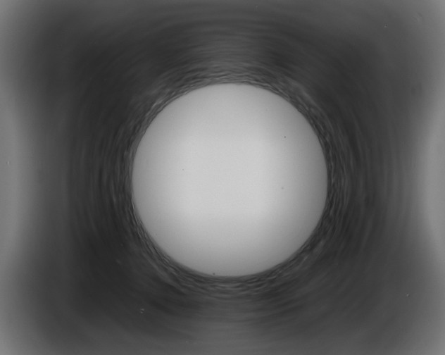 X0000086910368200704161014