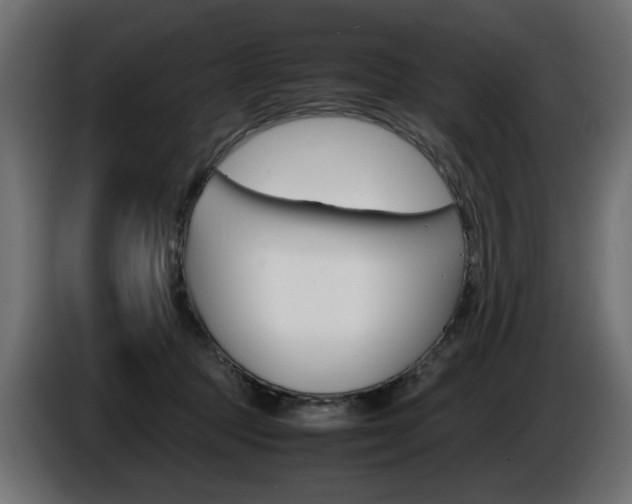 X0000086910369200704161014
