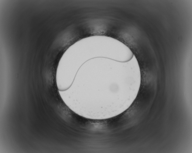 X0000086910370200704161014