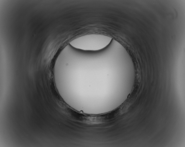 X0000086910371200704161014