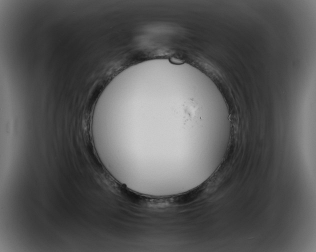 X0000086910373200704161014