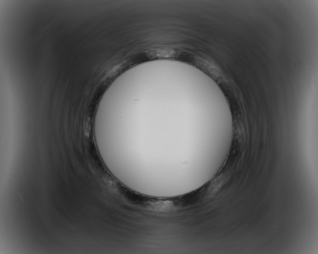 X0000086910374200704161014