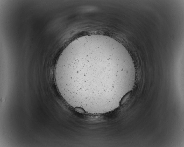 X0000086910375200704161014