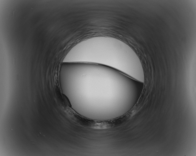 X0000086910376200704161014