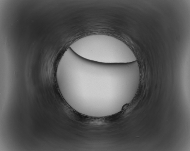 X0000086910377200704161014