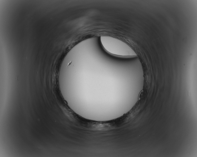 X0000086910379200704161014