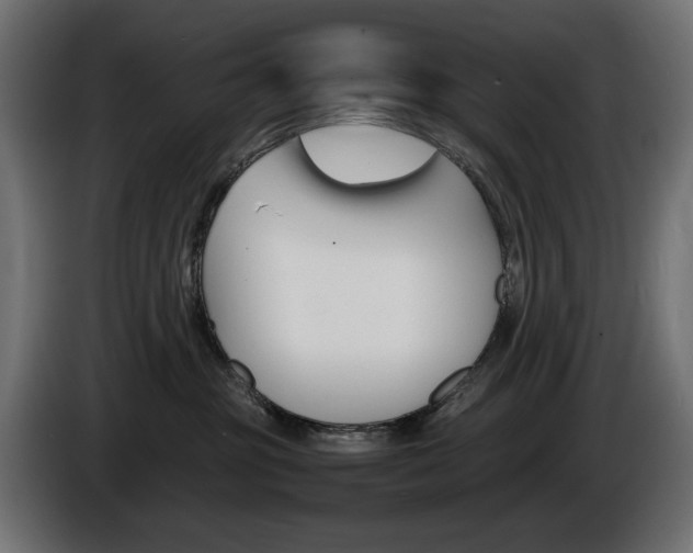 X0000086910381200704161015