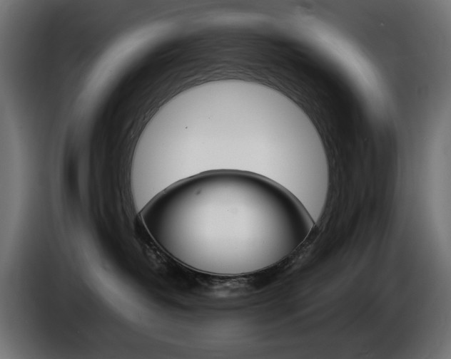 X0000086910382200704161015