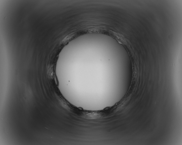 X0000086910383200704161015