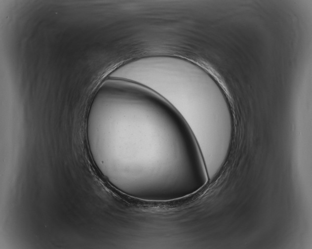 X0000086910385200704161014