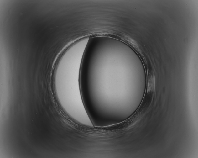 X0000086910387200704161014