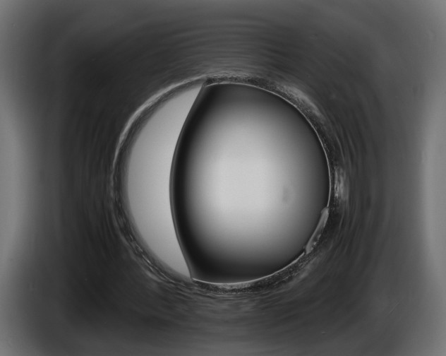 X0000086910388200704161014