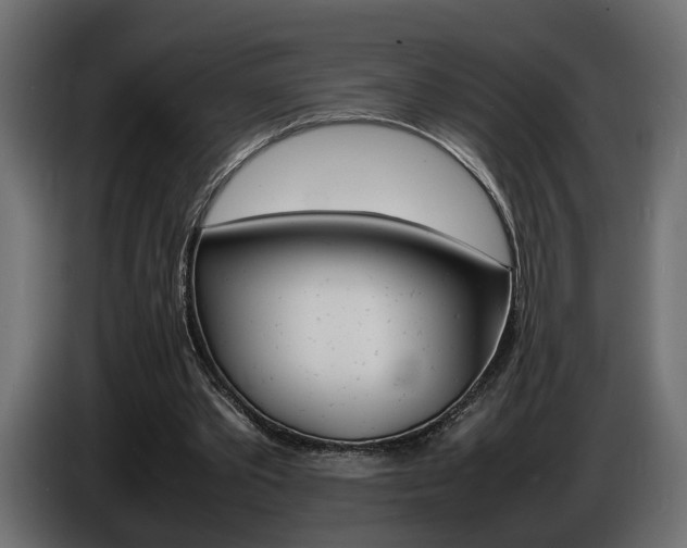 X0000086910389200704161014