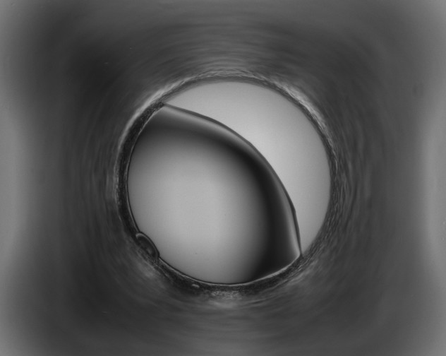 X0000086910391200704161014