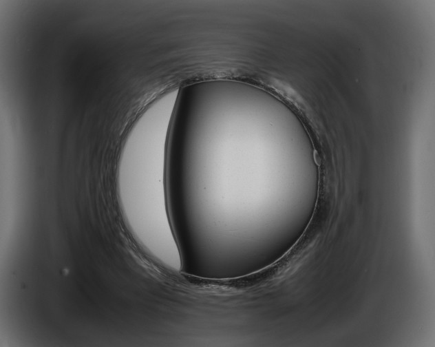 X0000086910393200704161014