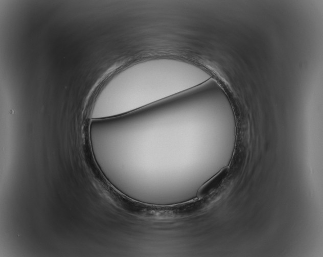 X0000086910395200704161014