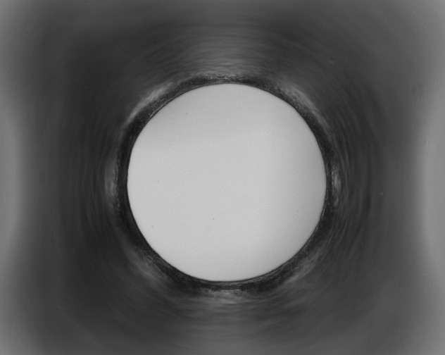 X0000086910396200704161014